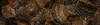Zobrazit detail vzorku StromatoliteRandom