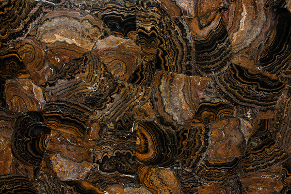 Náhled vzorku - StromatoliteRandom